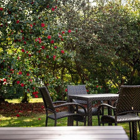 Copthorne Effingham Gatwick Hotel Zewnętrze zdjęcie